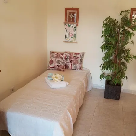 Cozy Sunny Wi-fi & Ac Apartment *