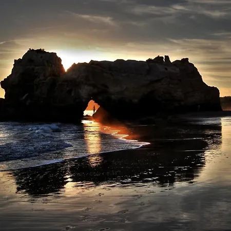 Apartment Cozy Sunny Wi-fi & Ac *