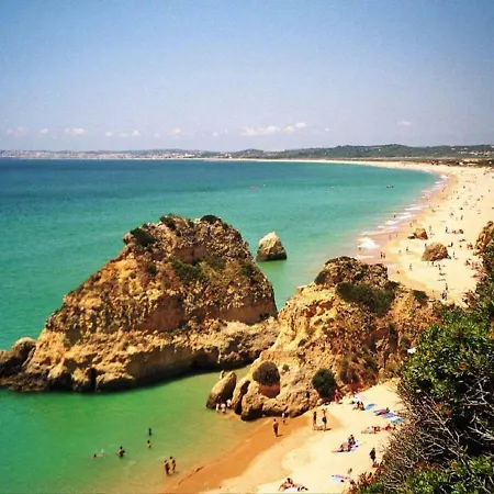 Cozy Sunny Wi-fi & Ac Apartment *