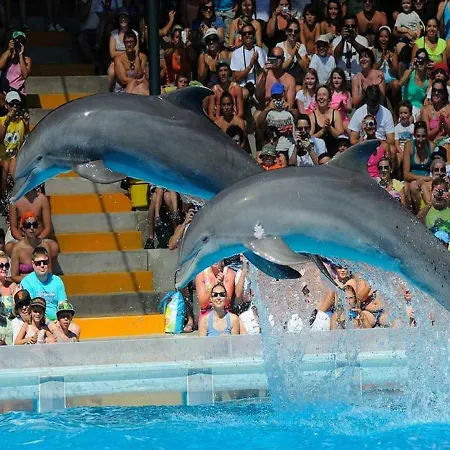 Appartement Cozy Sunny Wi-fi & Ac *