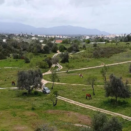 Cozy Sunny Wi-fi & Ac *